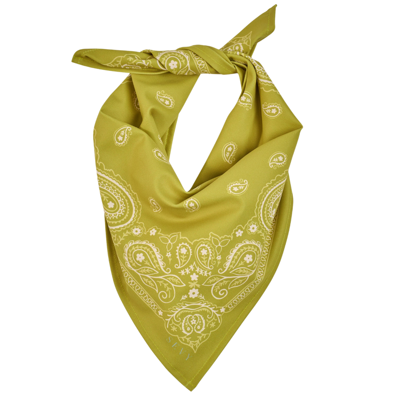 Sea Ranch Bandana