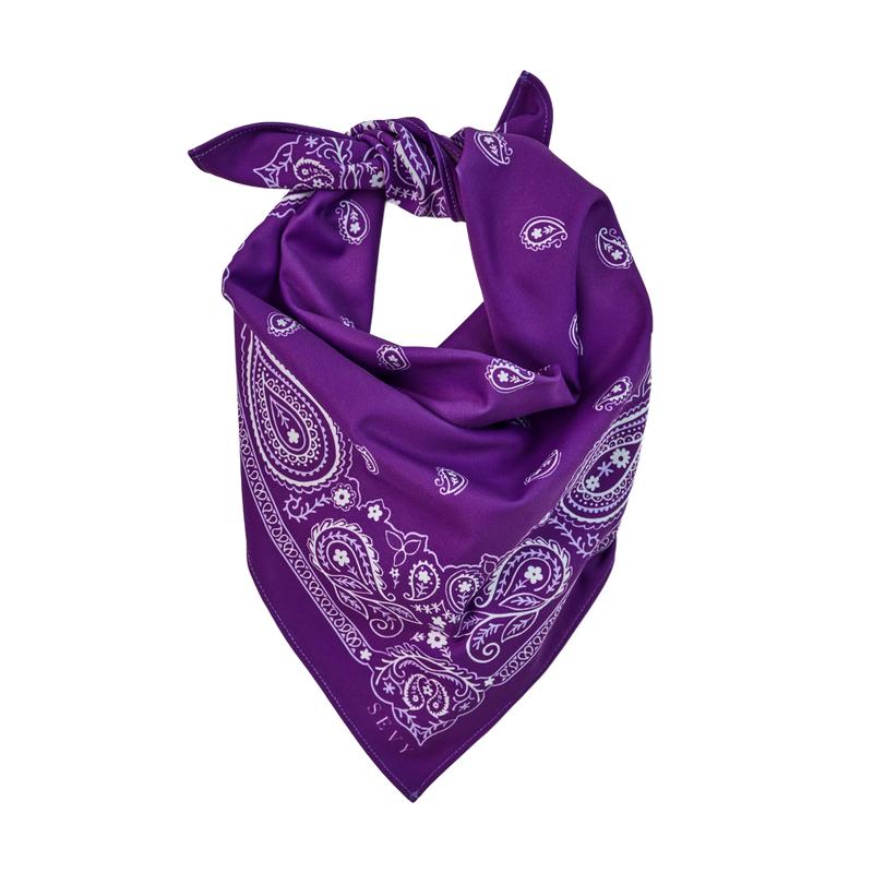 Sea Ranch Sunwear Bandana in Lafitte Purple paisley, tied, SEVY Tailgate collection
